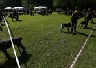 IMG_4834.jpg