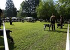 IMG_4837.jpg