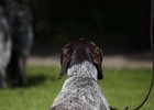 IMG_4865.jpg