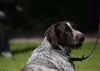 IMG_4866.jpg