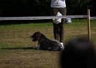IMG_4899.jpg