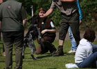 IMG_4907.jpg