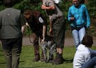 IMG_4910.jpg