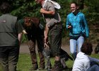 IMG_4912.jpg