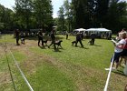 IMG_4974.jpg