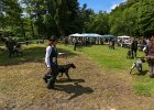IMG_4978.jpg