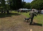 IMG_4981.jpg