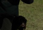 IMG_5047.jpg