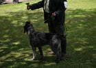 IMG_5066.jpg