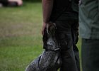 IMG_5076.jpg