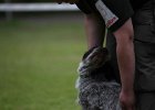 IMG_5085.jpg