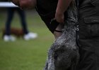 IMG_5088.jpg