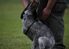 IMG_5089.jpg