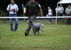 IMG_5099.jpg