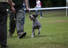 IMG_5100.jpg