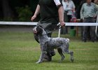 IMG_5103.jpg