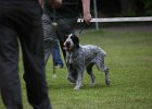 IMG_5105.jpg