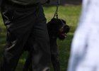 IMG_5116.jpg
