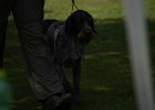 IMG_5127.jpg