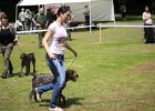 IMG_5131.jpg