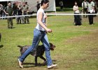 IMG_5132.jpg