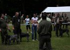 IMG_5140.jpg