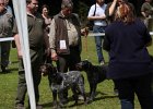 IMG_5149.jpg