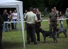 IMG_5168.jpg
