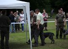 IMG_5169.jpg