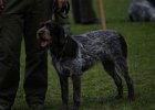 IMG_5184.jpg