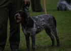 IMG_5185.jpg