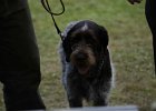 IMG_5206.jpg
