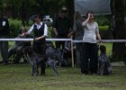 IMG_5209.jpg