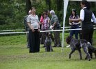 IMG_5215.jpg