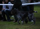 IMG_5240.jpg