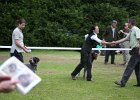 IMG_5242.jpg