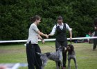 IMG_5248.jpg