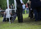 IMG_5255.jpg