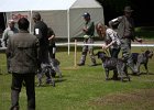 IMG_5331.jpg