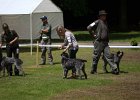IMG_5332.jpg