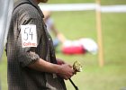 IMG_5364.jpg