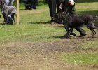 IMG_5393.jpg
