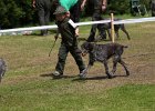 IMG_5397.jpg
