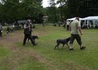 IMG_5413.jpg