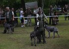 IMG_5416.jpg