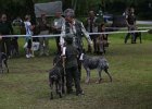 IMG_5417.jpg