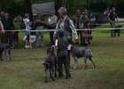 IMG_5418.jpg