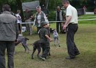 IMG_5438.jpg