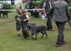 IMG_5440.jpg
