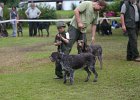 IMG_5441.jpg
